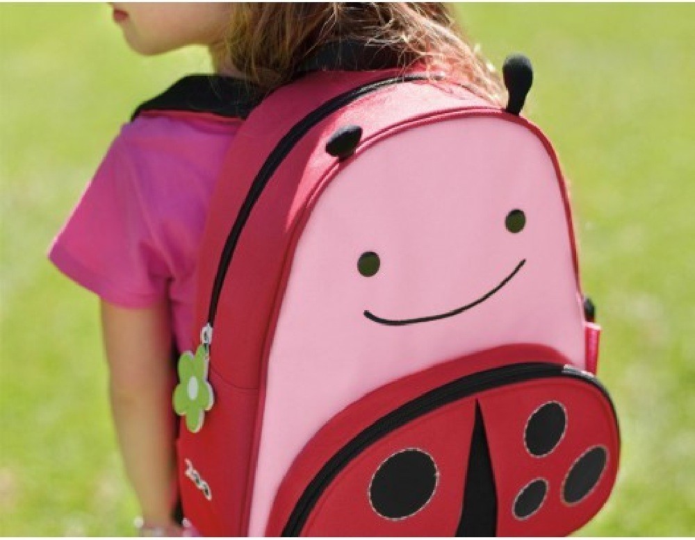 ladybug bookbag