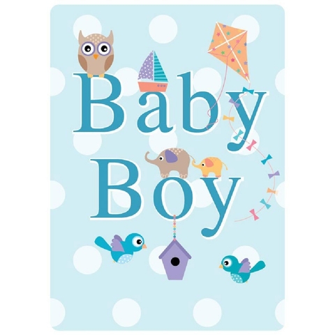 Henderson Greetings Gift Card Baby Boy Kite Birds Owl image 0 Large Image
