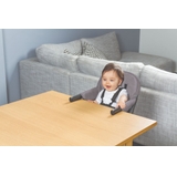 Childcare Primo Hook On High Chair Moon Mist image 3