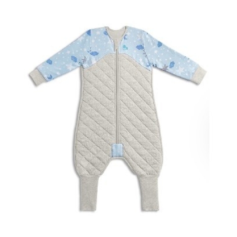 Love To Dream Sleep Suit 2.5 Tog Blue 6-12 Months image 0 Large Image