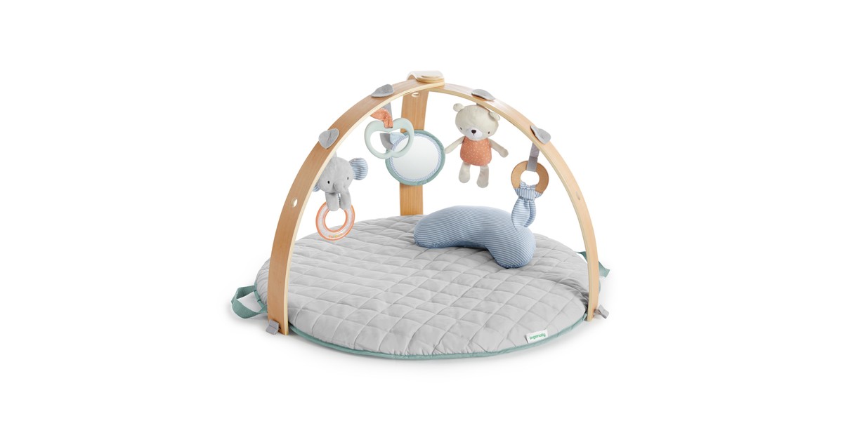 Ingenuity Cozy Spot Reversible Gym Loamy Baby Bunting AU