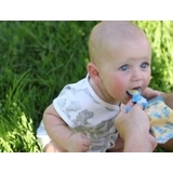 Cherub Baby Solids Feeding Kit - Toucan Blue & Rainforest Green image 3