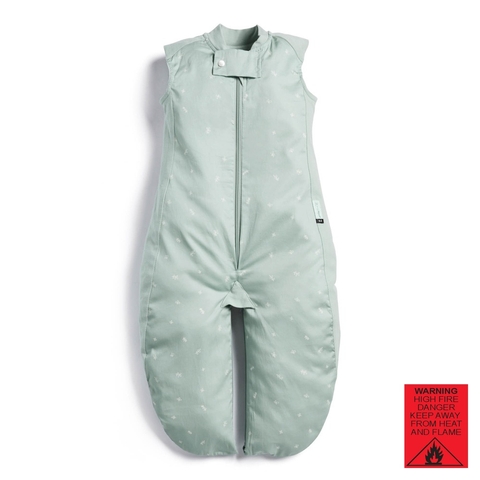 Ergopouch Sleep Suit Bag 0.3 Tog Sage 8-24 Months image 0 Large Image
