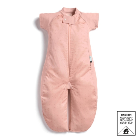 Ergopouch Sleep Suit Bag 1.0 Tog Berries 3-12 Months image 0 Large Image