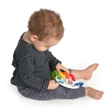 Baby Einstein Colour Learning Links image 5