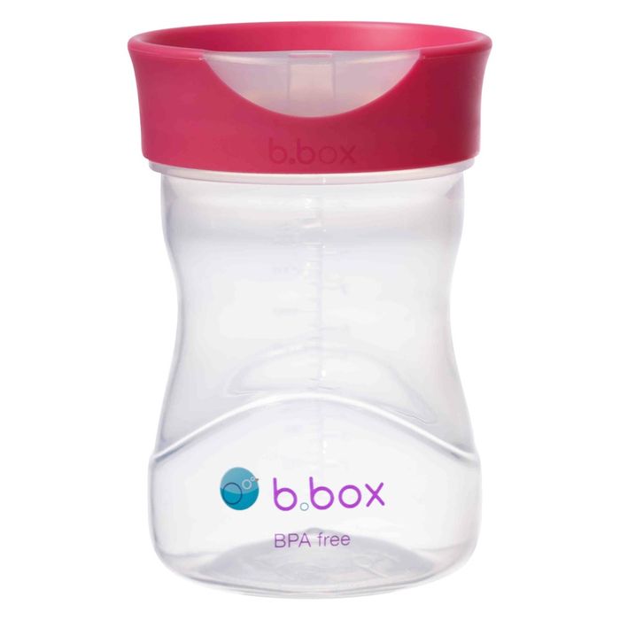 b.box Sippy Cup + Replacement Straw and Cleaner Pack, Includes 2 Weighted Straw  Sippy Cups (Raspberry & Grape)