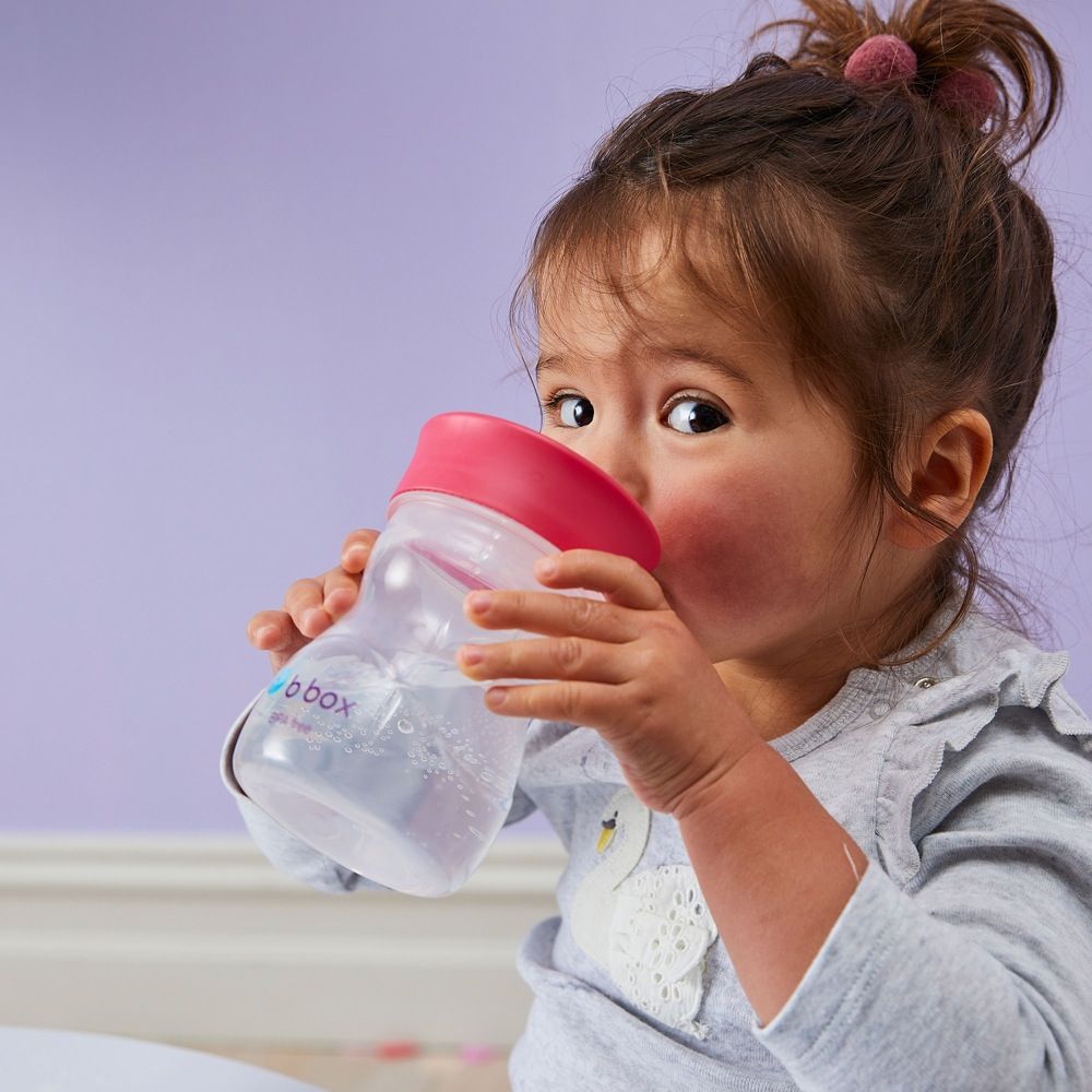 b.box Sippy Cup + Replacement Straw and Cleaner Pack, Includes 2 Weighted Straw  Sippy Cups (Raspberry & Grape)