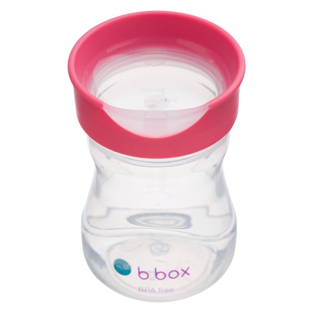 b.box Sippy Cup + Replacement Straw and Cleaner Pack, Includes 2 Weighted Straw  Sippy Cups (Raspberry & Grape)