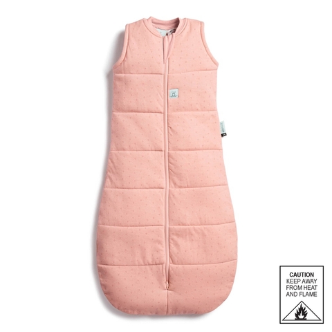 Ergopouch Jersey Sleeping Bag 2.5 Tog Berries 8-24 Month (Online Only) image 0 Large Image