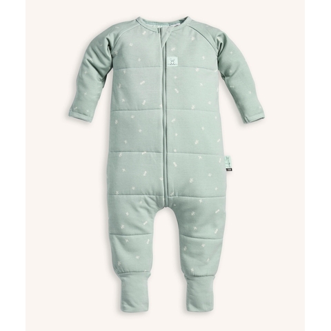 Ergopouch Onesie 3.5 Tog Sage 2-3 Years image 0 Large Image