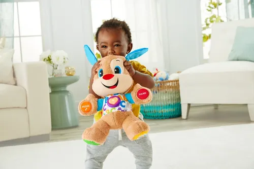 Fisher-Price Laugh Learn Smart Stages Puppy Baby Bunting NZ