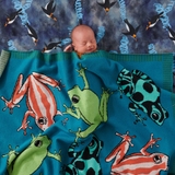 Kip & Co Blanket Mr Frog image 1