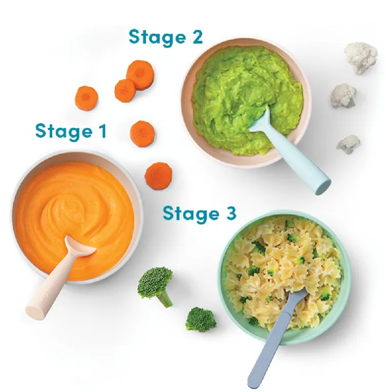 Nutribullet Baby Bullet