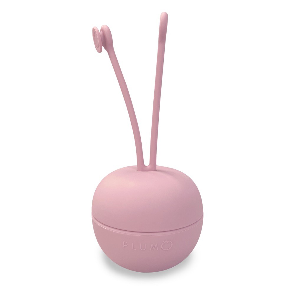 Plum Soother Storage Pod Dusty Berry Soothers Baby Bunting AU