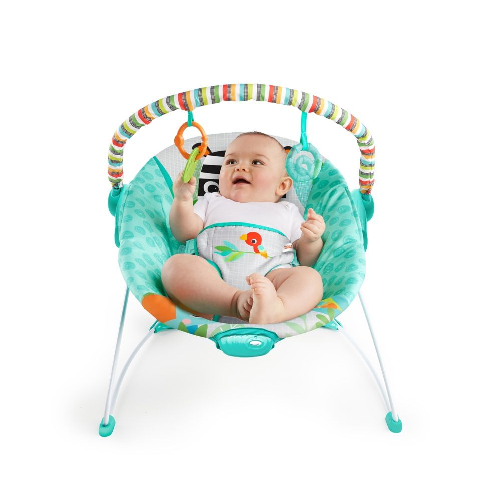 zebra bouncer chair