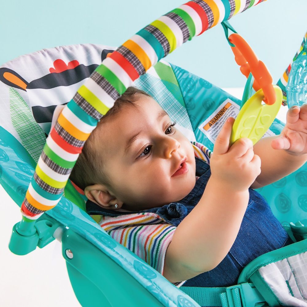 zebra bouncer chair