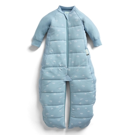 Ergopouch Jersey Sleepsuit Bag 2.5 Tog Ripple 2-4 Years