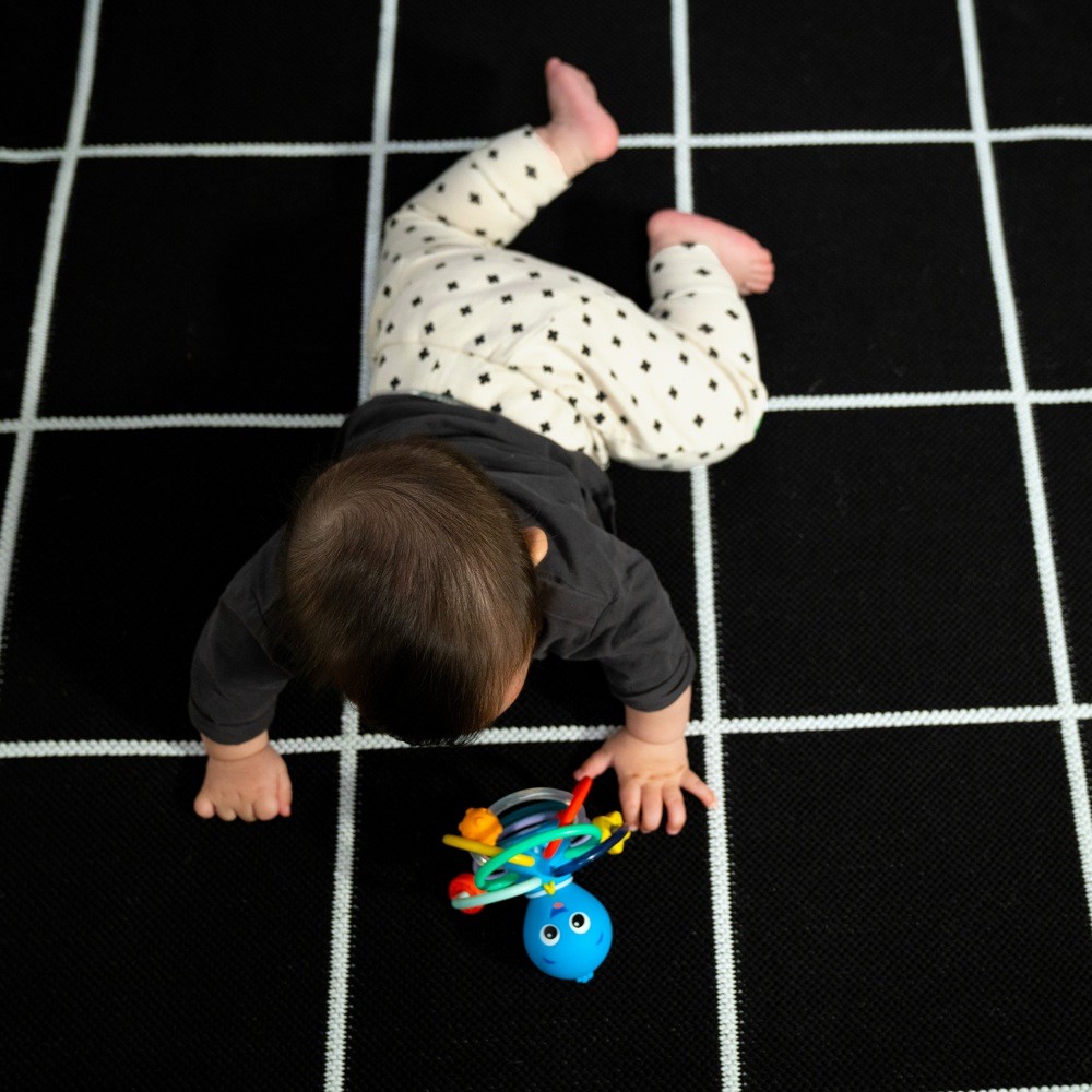 Baby Einstein Opus’S Shake & Soothe Teether Toy & Rattle Rattles