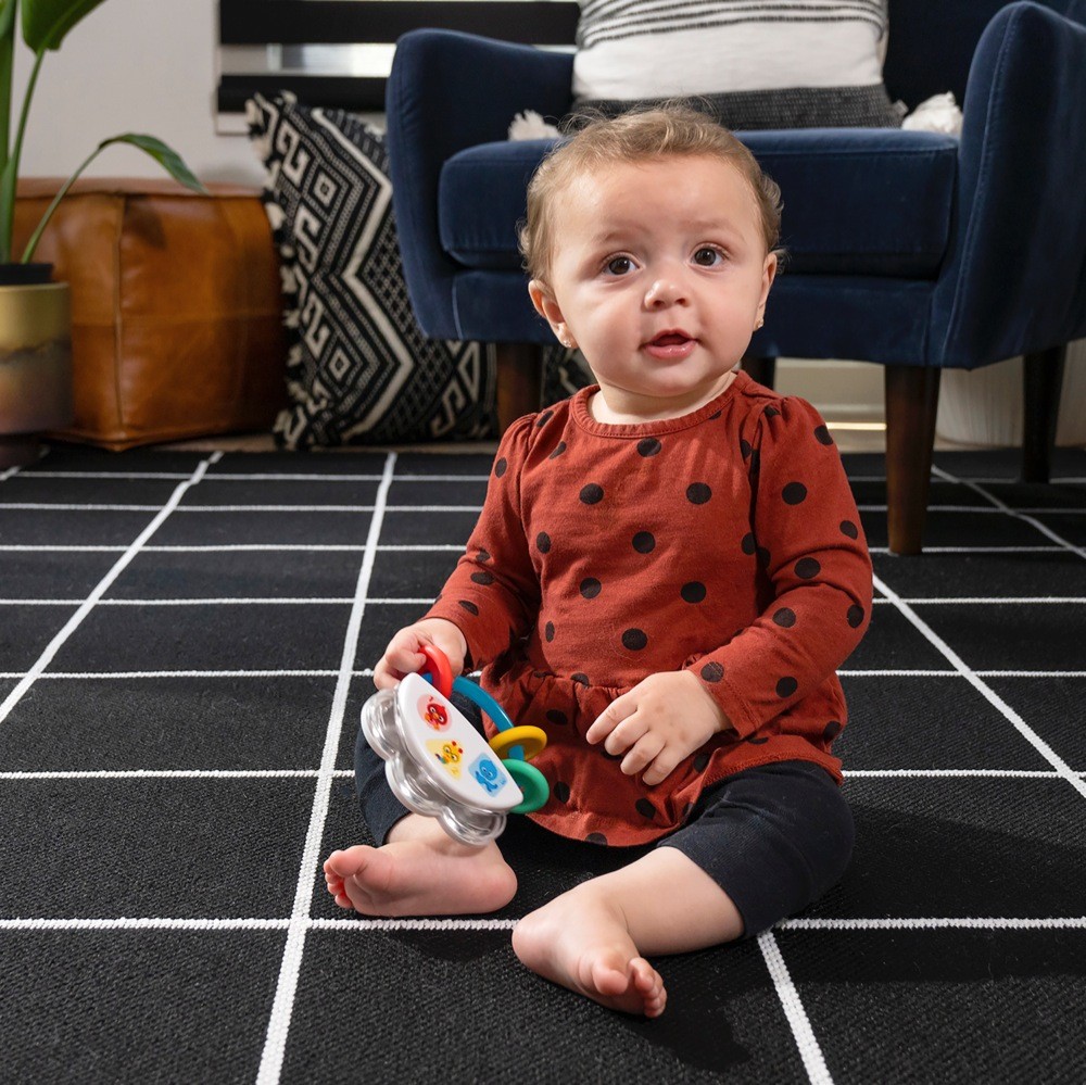 Baby Einstein Tiny Tambourine Musical Toy & Rattle Interactive Toys