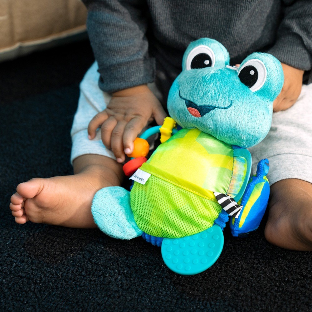 Baby einstein plush toys online