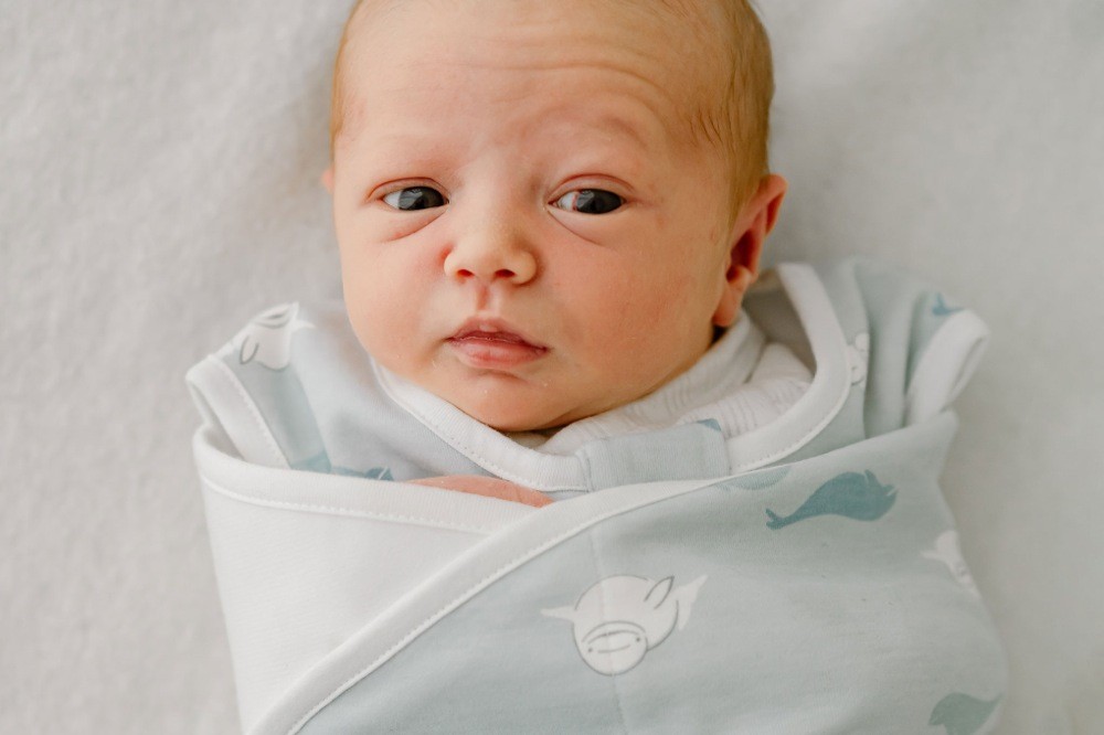 Nest Organic Swaddle Sleeping Bag 1.0 Tog Beluga Boogie 06 Months