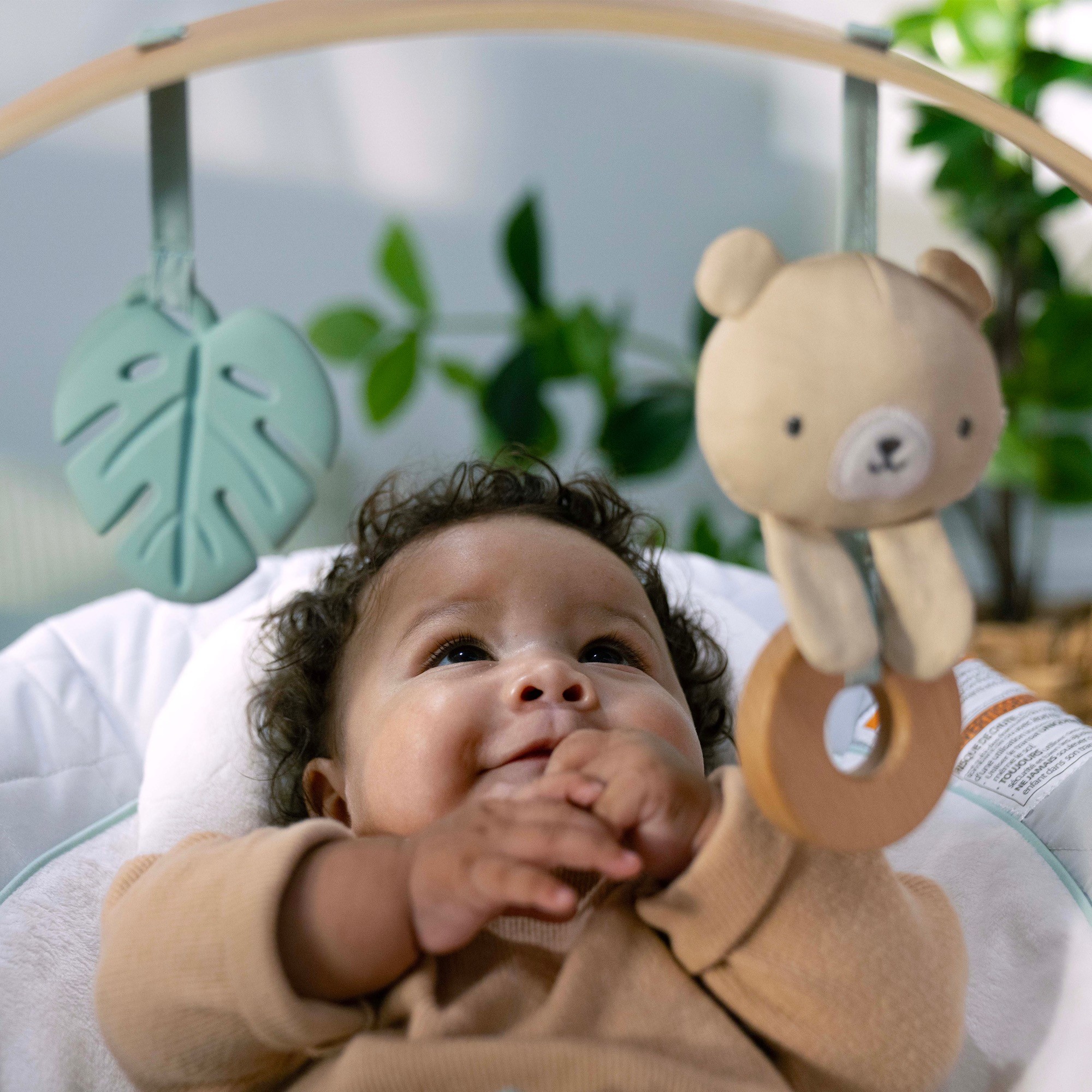 Ingenuity Cozy Spot Bouncer Rockers & Bouncers Baby Bunting AU