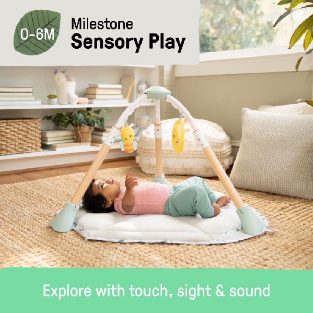 Ingenuity TummyToToes 6In1 Activity Gym & Center Chic Boutique