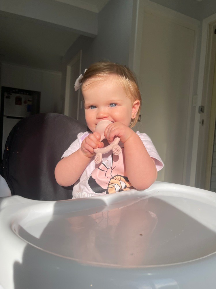 Haakaa FreezeNFeed Mini ComboPea Green Food Storage & Preparation