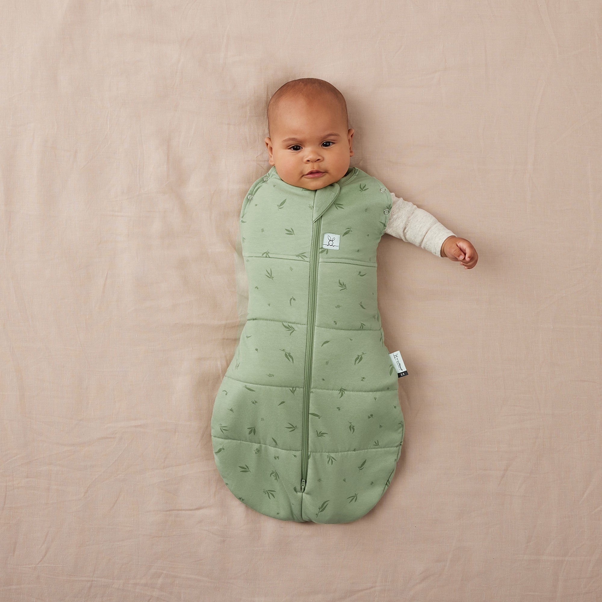 Ergopouch Cocoon 2.5 Tog Willow 36 Months Swaddles Baby Bunting AU