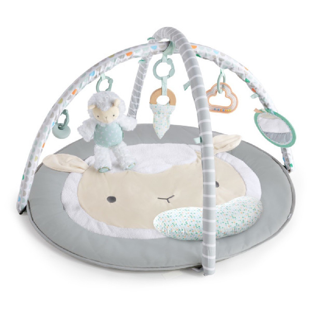 Play gym baby bunting online