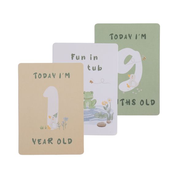 Living Textiles Milestone Cards Goosey Goosey