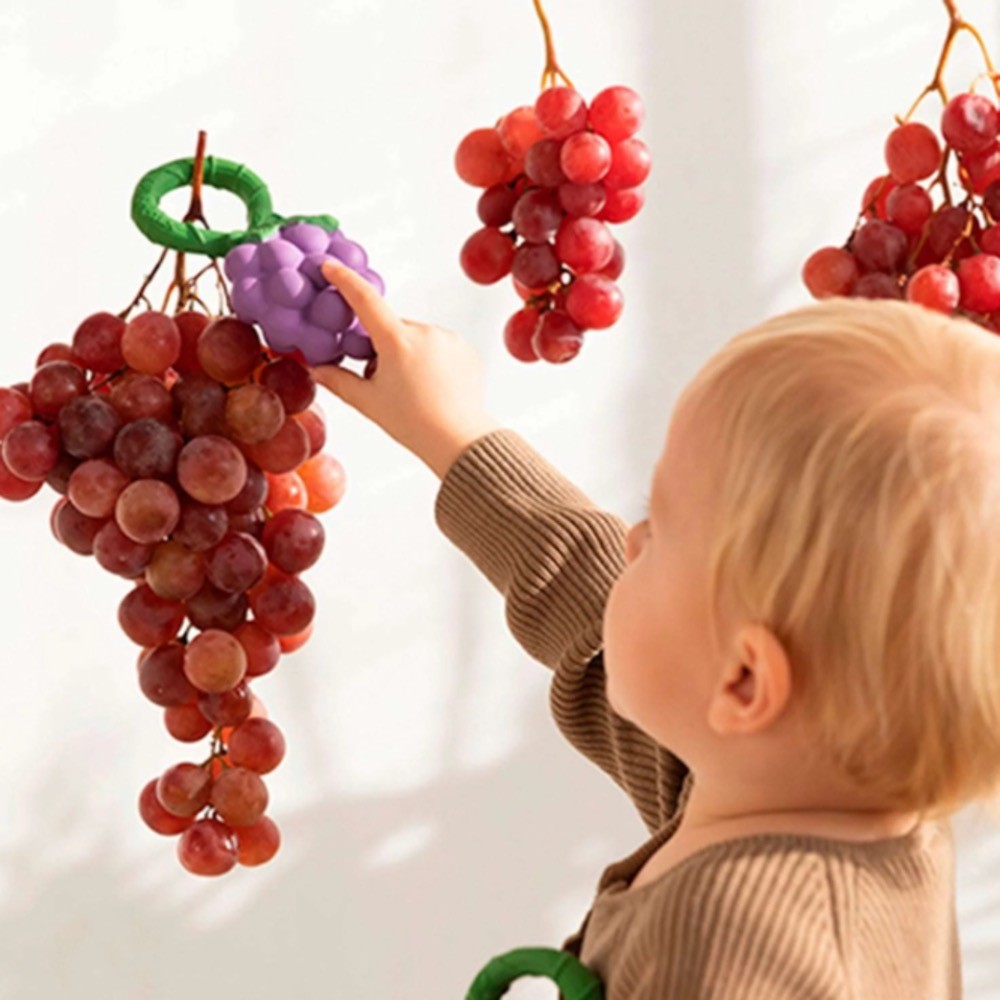 Oli And Carol Rattle Toy Grape | Interactive Toys | Baby Bunting AU