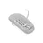 Image of undefined