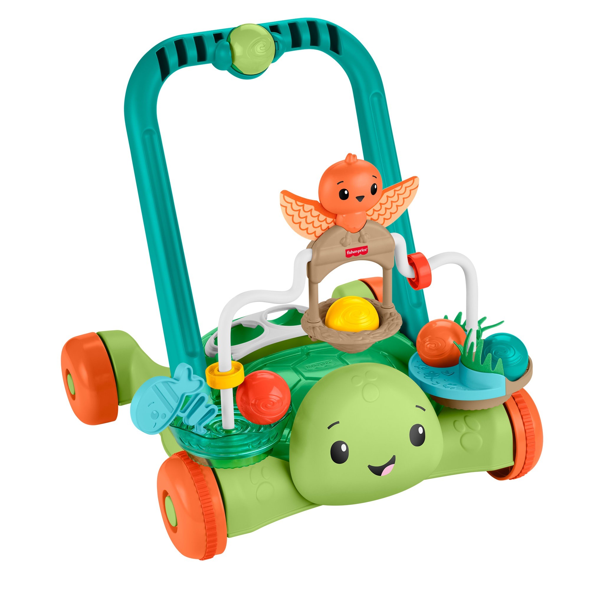 Fisher-PrGrey Turtle Walker