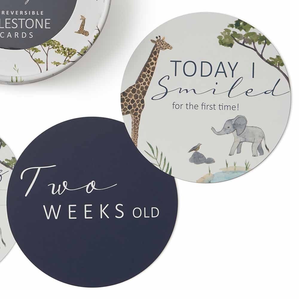 Snuggle Hunny Safari & Navy Reversible Milestone Cards