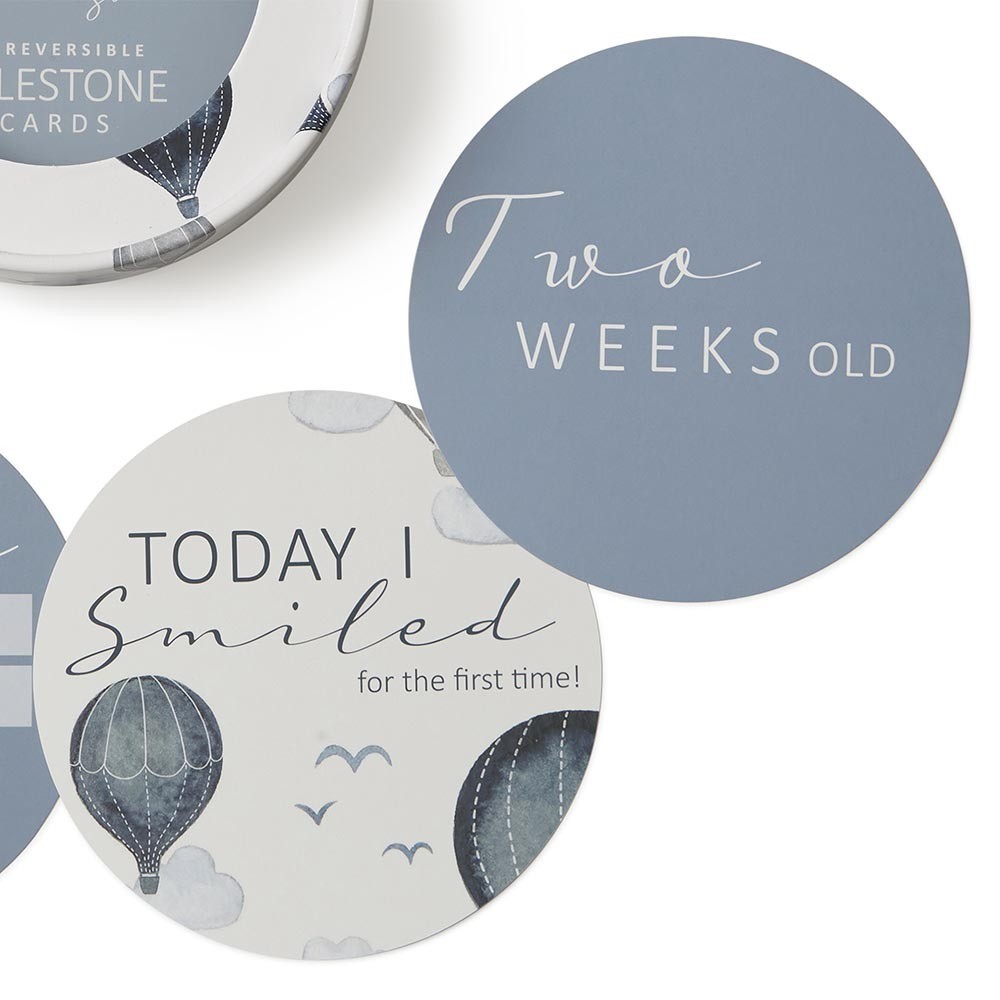Snuggle Hunny Cloud Chaser & Indigo Reversible Milestone Cards