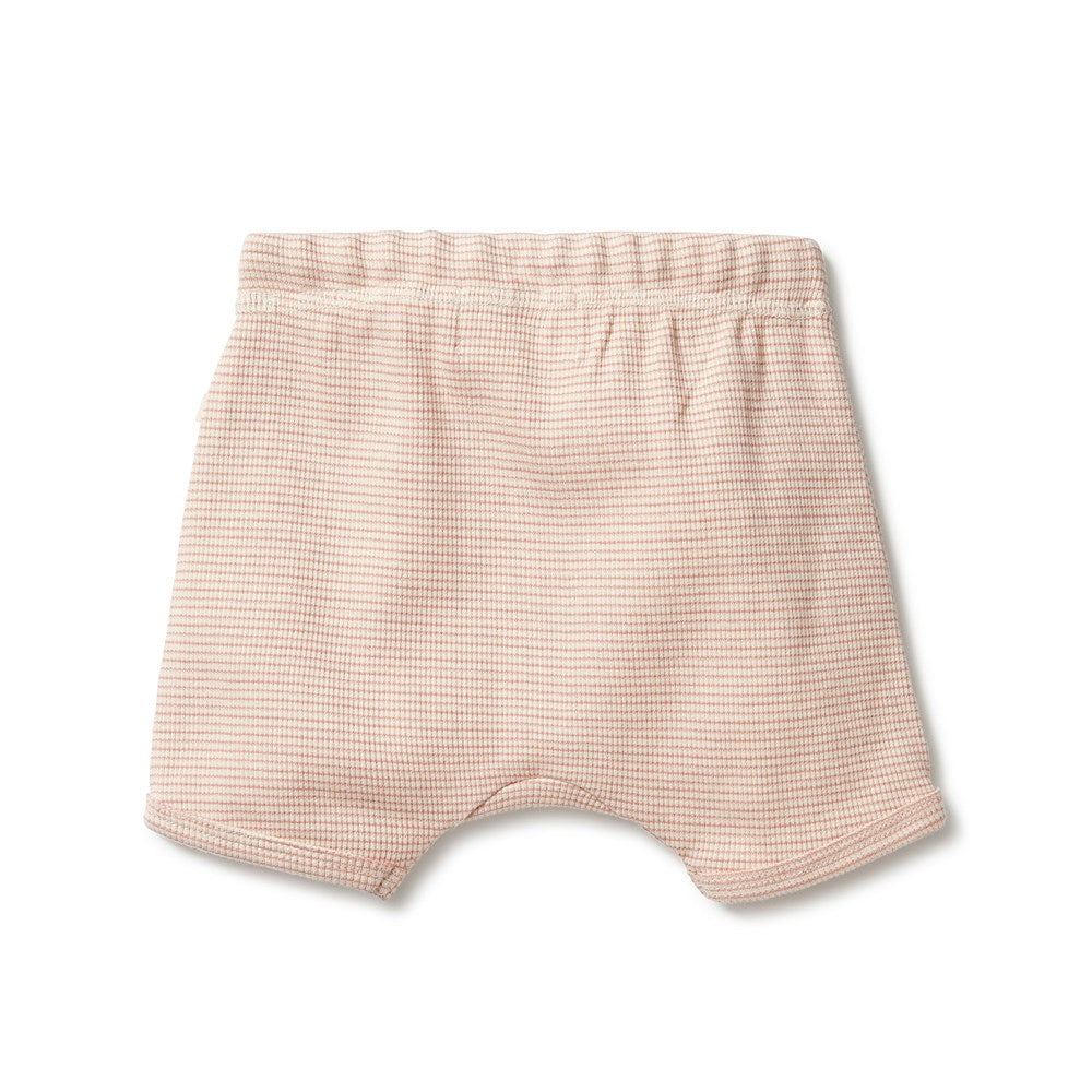 Wilson and Frenchy Organic Stripe Rib Tie Front Short - Rose | Baby ...