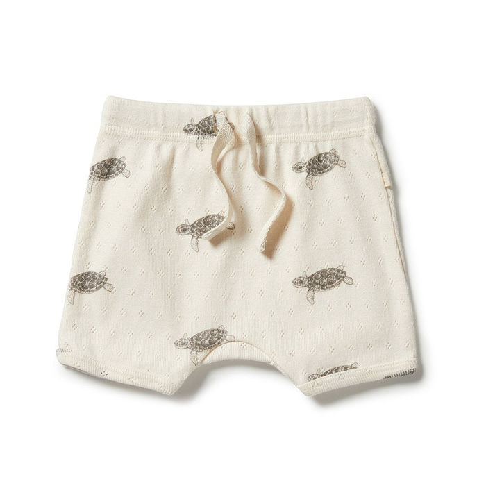 Wilson and Frenchy Organic Pointelle Tie Front Short - Tiny Turtle, Pants,  Leggings & Shorts