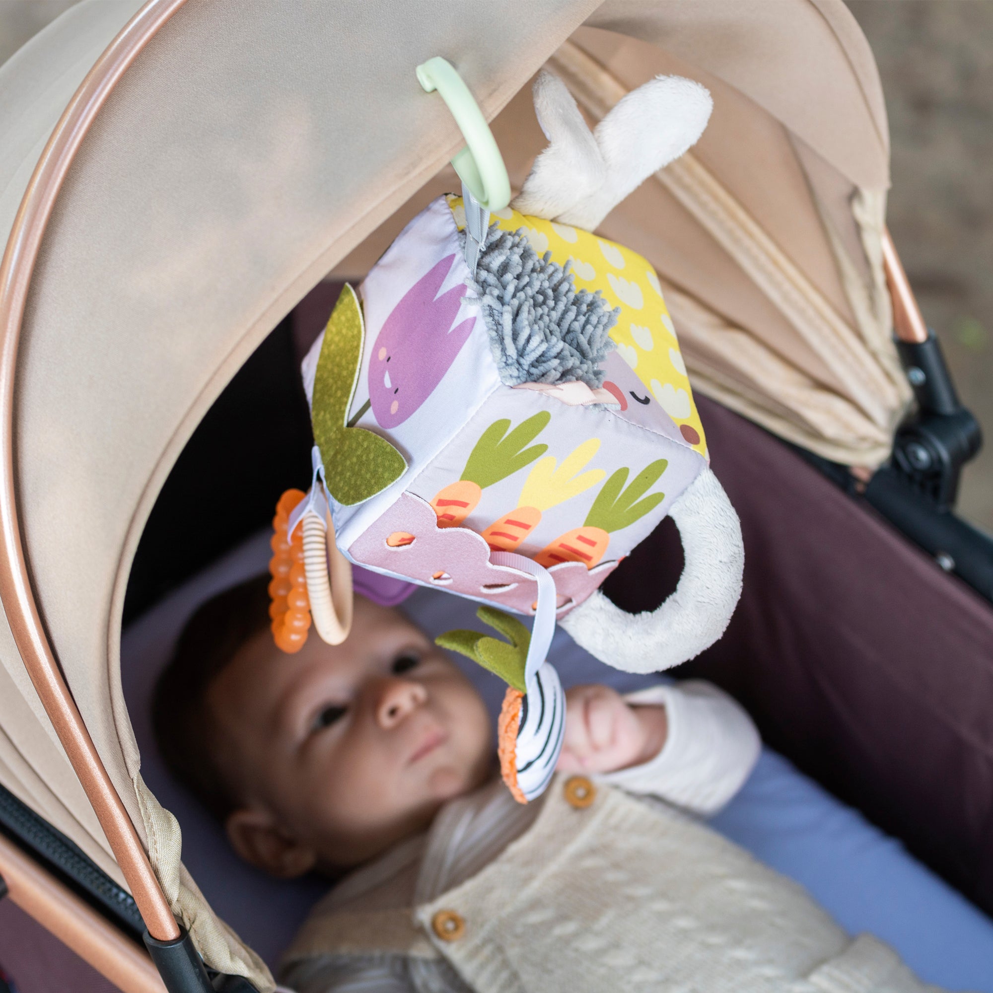 Taf Toys Urban Garden Discovery Cube Attachment for Pram or Cot