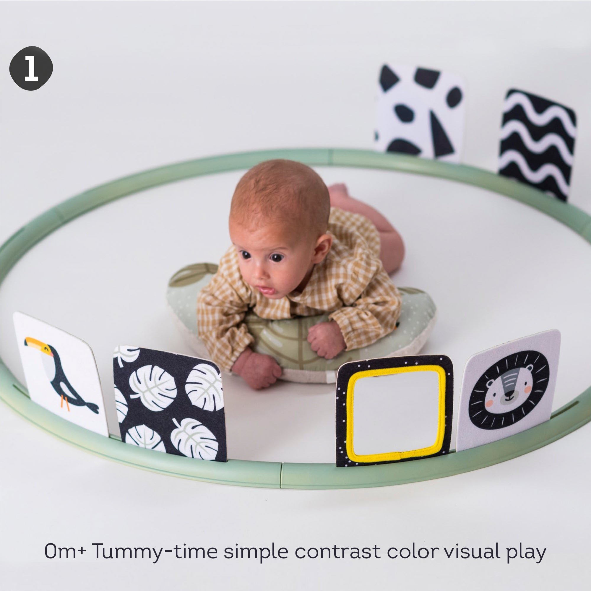 Taf Toys Tummy Time Trainer Interactive Toys Baby Bunting AU