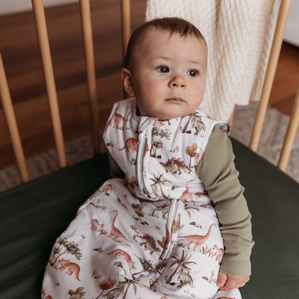 Snuggle Hunny Dino Organic Sleeping Bag 2.5 Tog | Light Weight Sleeping ...