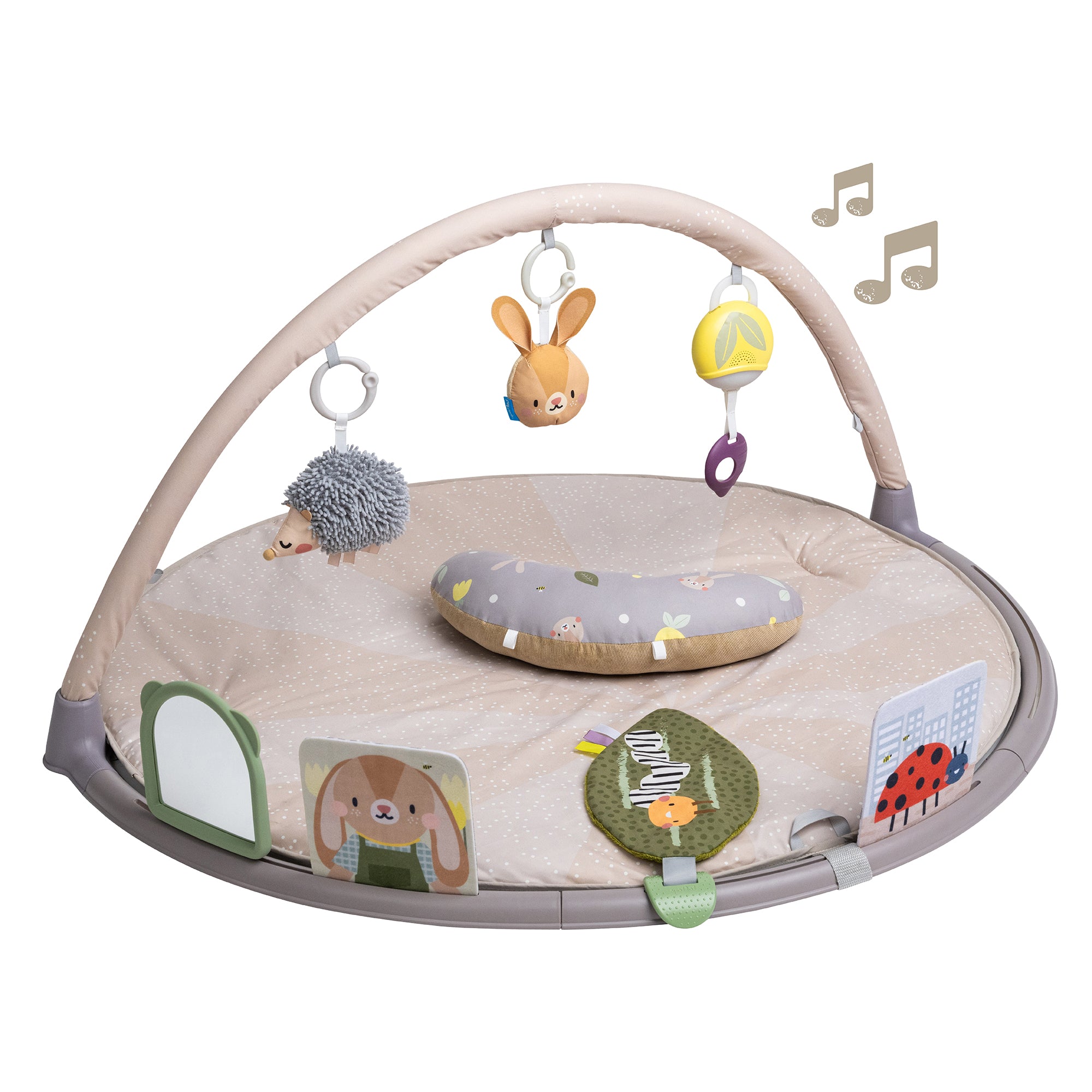 Taf Toys Welcome Home Baby Bundle