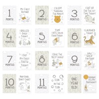 Disney Lion King Milestone Cards